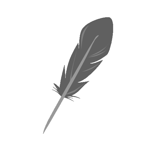 Feather animation